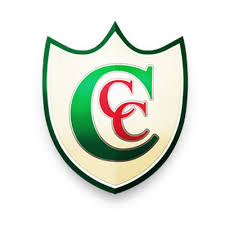 Image result for Chiddingfold Football Club