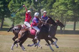 Image result for Winchester Riding Club