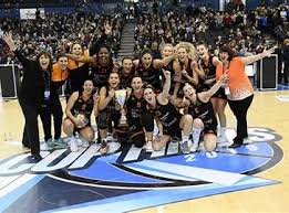 Image result for Sheffield Hatters Basketball Club