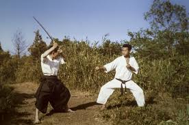 Image result for Twyford Higashi Karate Club