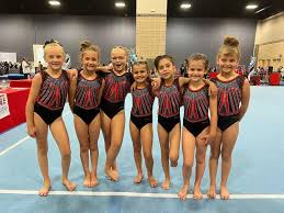 Image result for Notts Bigwood Gymnastics Club