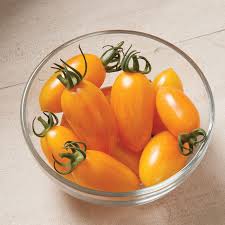 Afbeeldingsresultaat voor blushing yellow tomato