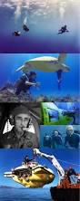 Image result for Underwater Adventures