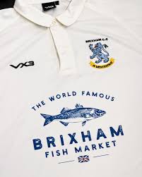 Image result for Brixham Cricket Club