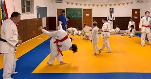 Image result for Brighton Judo Club