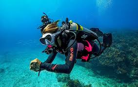 Image result for Southdown Divers