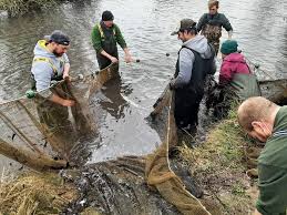 Image result for Addlestone Angling Society