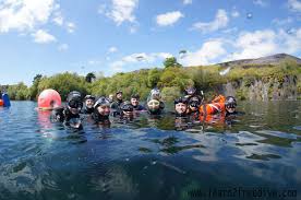 Image result for Apneists UK