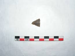 Image result for feuille-laurier-silex