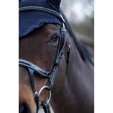 Image result for scheuklappen