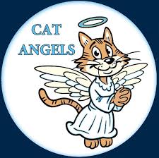 Image result for Lowestoft Railway Indoor Bowls Club