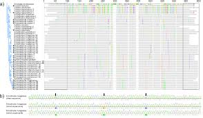 Attēlu rezultāti vaicājumam “Encalypta streptocarpa sporophyte”