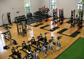 Image result for Angmering School Of Gym