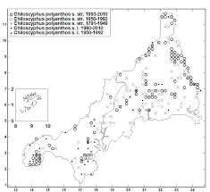 Attēlu rezultāti vaicājumam “Chiloscyphus polyanthos”