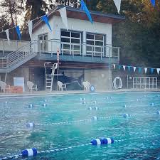 Image result for Rykneld Sharley Park Swimming Club