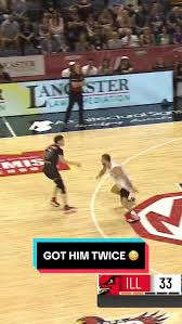 Image result for Arrows Basketball Club