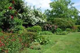 Image result for Heemtuin Rucphen