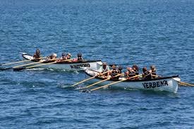 Image result for Appledore Pilot Gig Club
