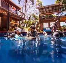 Image result for Harlow Sub-Aqua Club