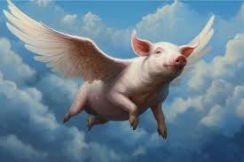 Image result for flying pigs