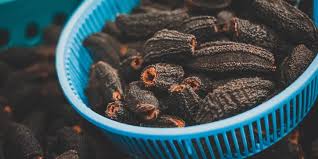 Image result for Cucumaria frondosa