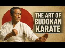 Image result for Blackpool Budokan Martial Arts