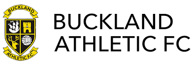 Image result for Buckland & Milber Football Club