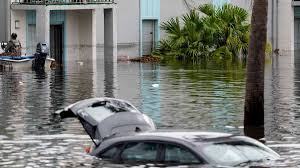 Image result for Hull Hurricanes