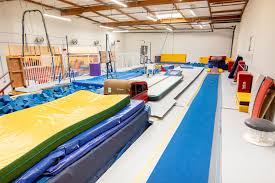 Image result for Epping Forest Elite Gymnastics Club