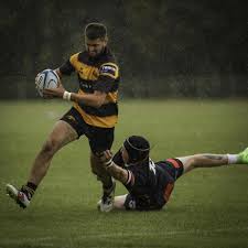 Image result for Ely Rugby Union Football Club