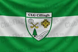 Image result for Killeagh Gaa