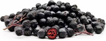 Attēlu rezultāti vaicājumam “Aronia melanocarpa fruit”