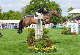 Image result for Cavalier Badminton Club