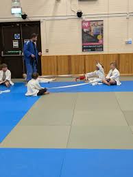 Image result for Rising Sun Judo Club