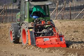 Image result for seppi tehron