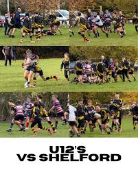 Image result for Braintree Rugby Football Club