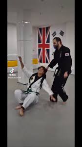 Image result for INTERNATIONAL HAPKIDO TAMWORTH