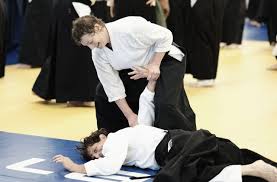Image result for Fudokai Aikido Dojo
