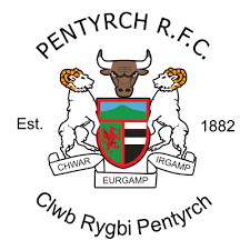 Image result for Pentyrch Cricket Club