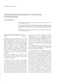 Attēlu rezultāti vaicājumam “Lamproderma gulielmae stalked”