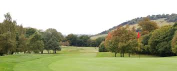 Image result for Betchworth Park Golf Club