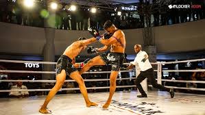 Image result for GFC Muay Thai Boxing
