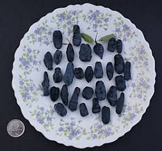 Attēlu rezultāti vaicājumam “Lonicera caerulea var. pallasii fruit”