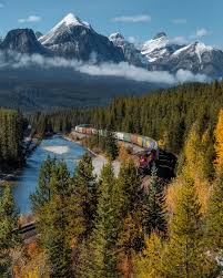 Résultat de recherche d'images pour "morant's curve"