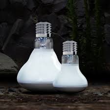 Risultati immagini per arcadia basking solar flood