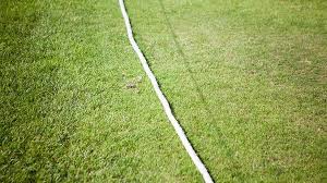 Image result for Southern Railway & Kenley Cricket Club