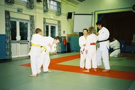 Image result for Holbrook Judo Club