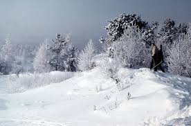 Image result for мороз