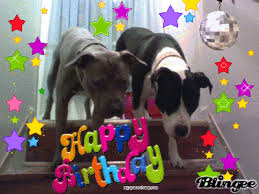 It's my birthday and I'm having a bad day! :  wedding Images?q=tbn:ANd9GcQsuzn J5sBCw50HcYy3fQF9zxTc62798VggnO9TmzeAv7S GQAYQ