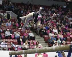 Image result for Abbey Gymnastics Club